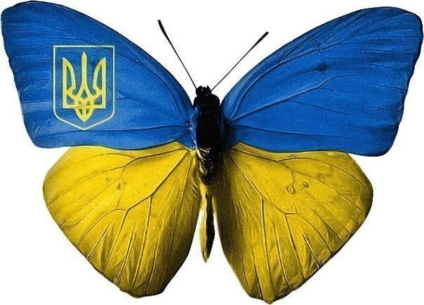 ukrmova